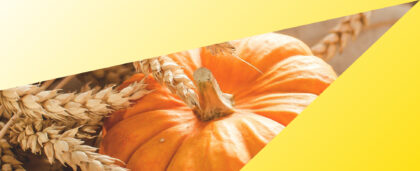 Thanksgiving Traditions: From the First Feast to Today’s Celebrations