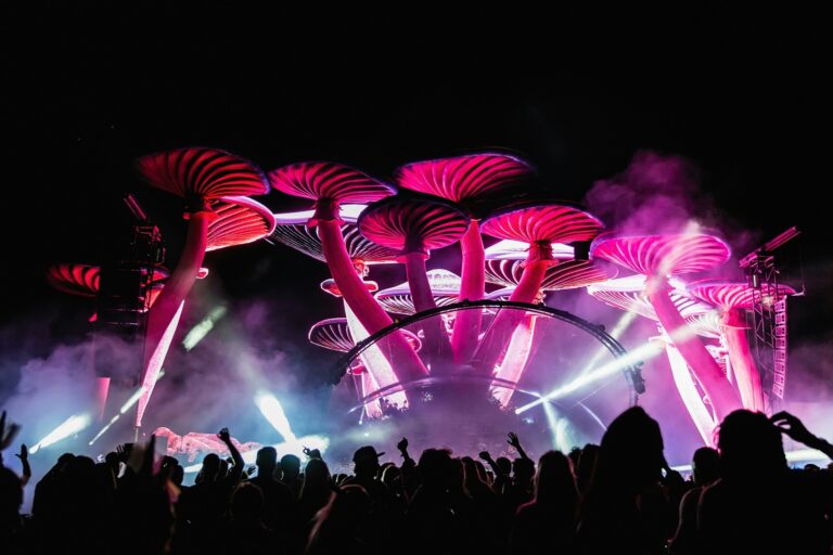 10 Biggest Music Festivals in the World 2026
