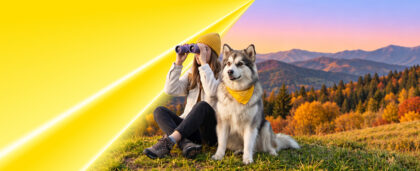 How to Travel with Pets: Documents, Airlines, Road Trips, and Pet-Friendly Stays